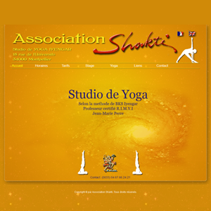 Intégration du visuel du site internet de Yoga Shakti